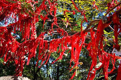 16位像素动作游戏《小雷神》二季度发售