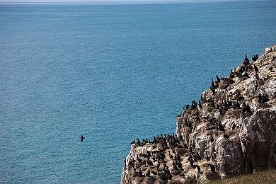 传《潜行者2》将在Xbox科隆展上提供试玩