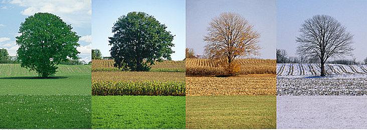 《叛乱: 沙漠风暴》现已登陆PS5及Xbox S，带来无与伦比的沉浸感