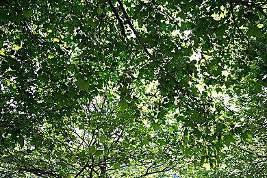 《血祭》风格浓郁 复古FPS游戏新作《邪教》公布